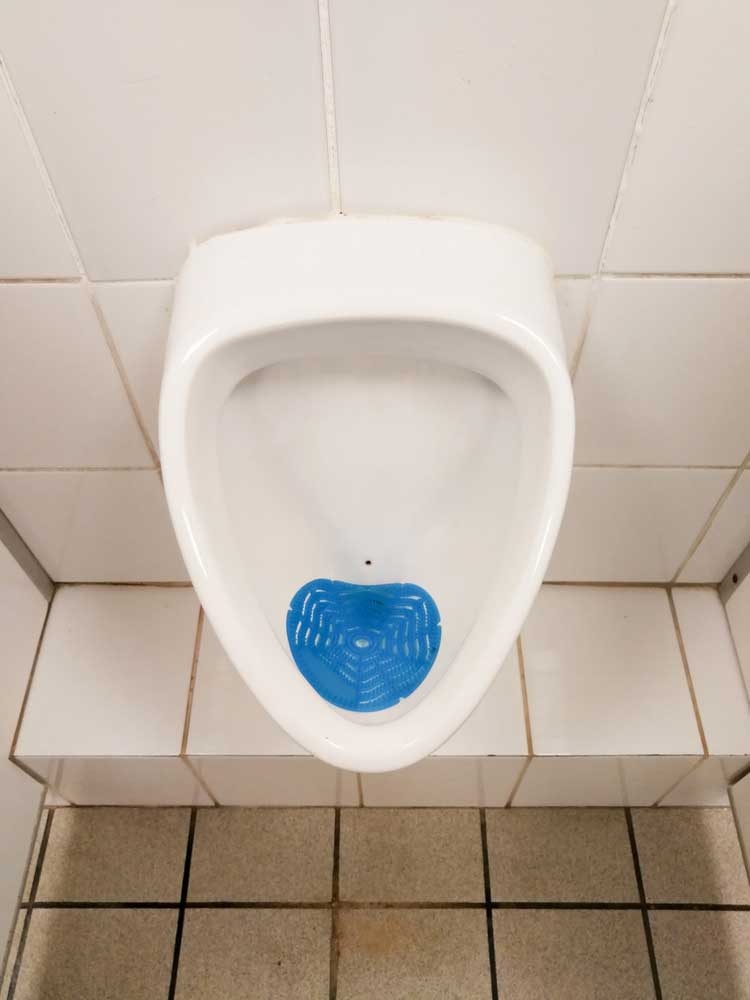 urinal screen