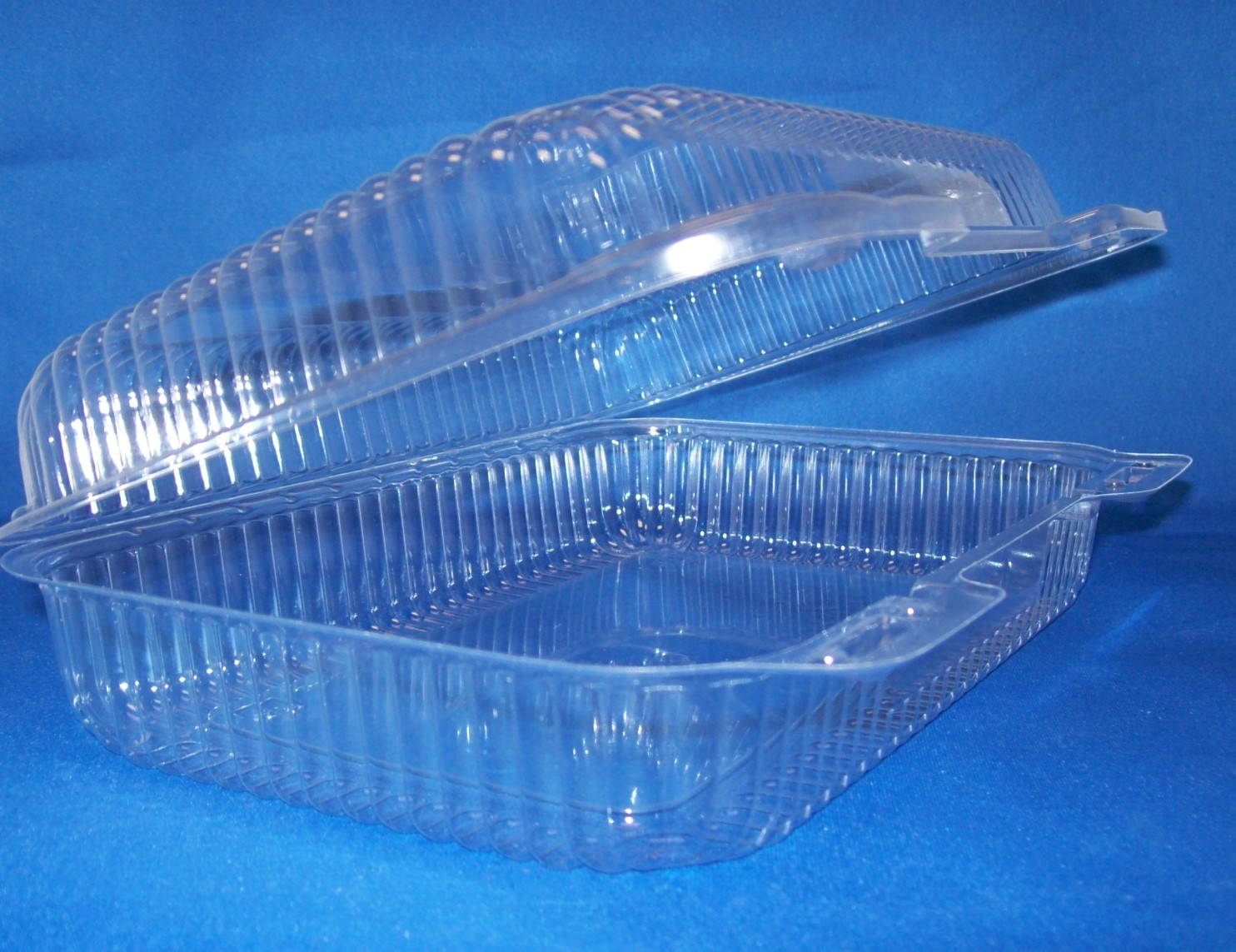 9.5x6.75x2.5 Hinged Container