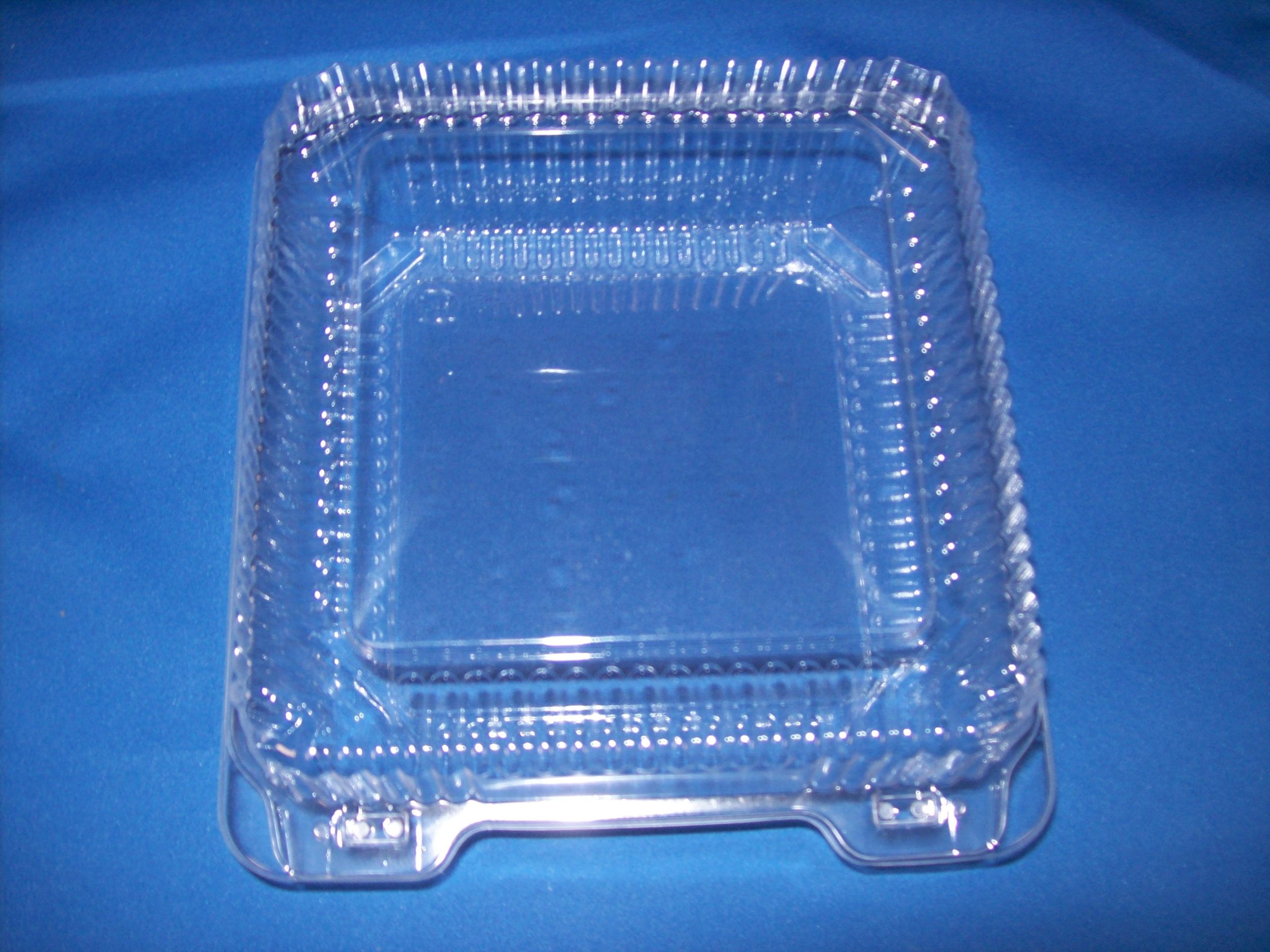 8.75x8.25x3.5 Hinged Container