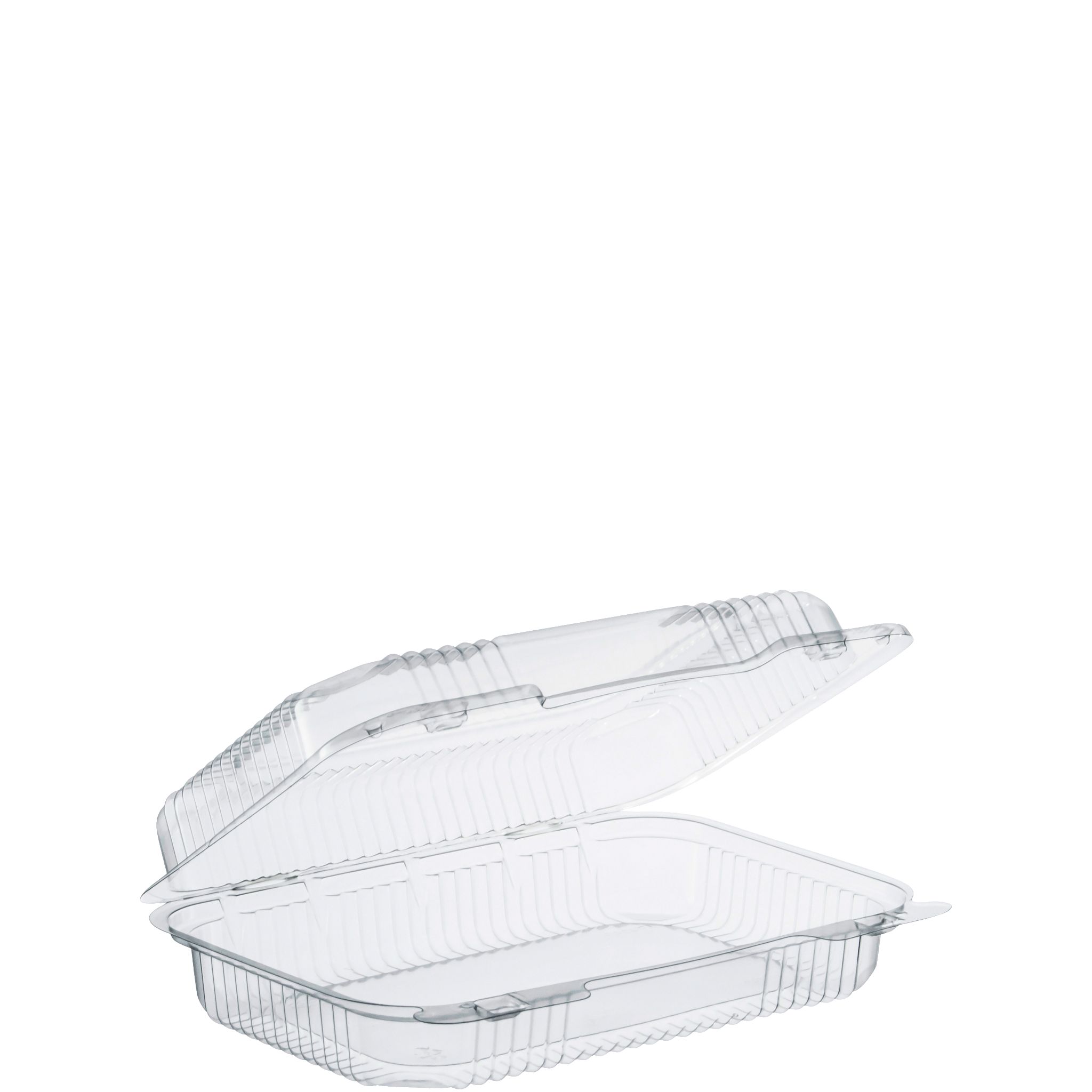 Staylock Oblong Hinged Container Medium    9 3/8 x 6 3/4 x 2 5/8
