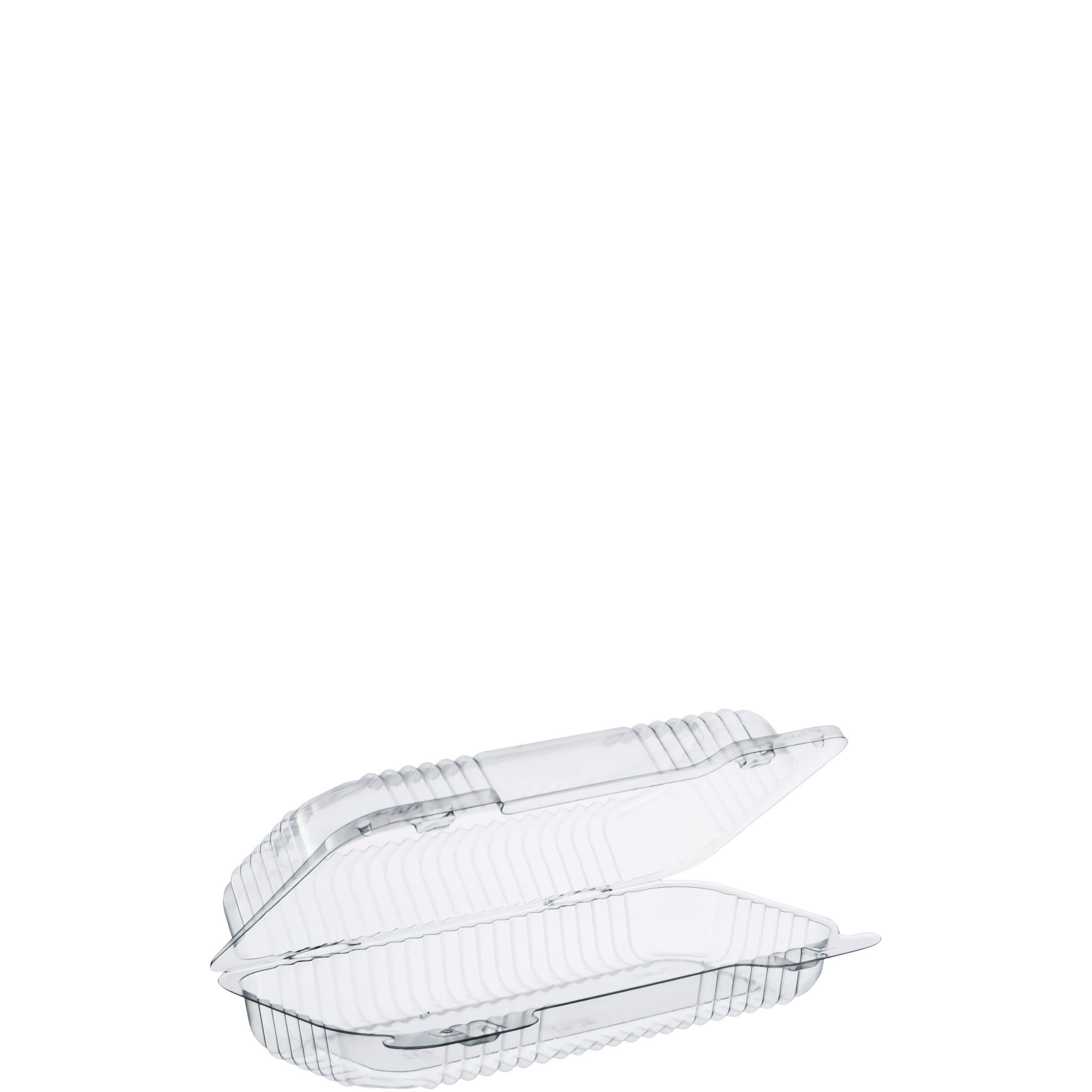 Staylock Small Hinged Container Oblong Clear  8 1/2 x 4 1/2 x 2 1/8