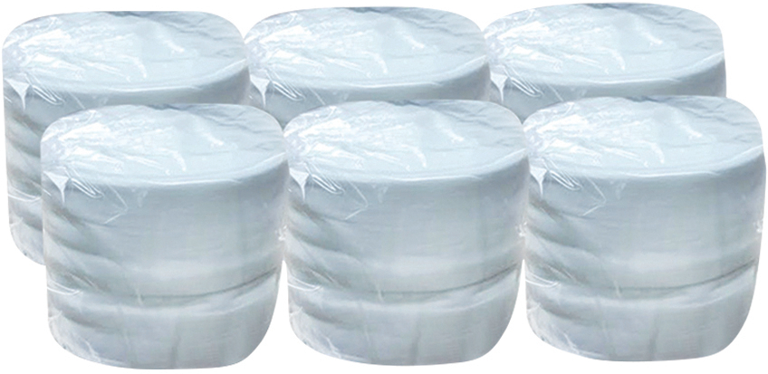 WipesPlus Standard Multi-Task Wipes Refill Rolls 200 Count 10" x 6"