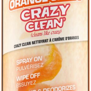 Sprayway Crazy Clean Can Orange Citrus 19 oz