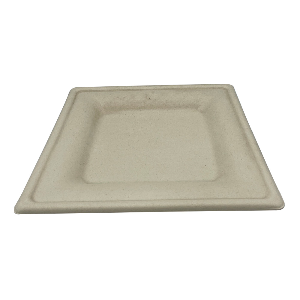 Heavy Square Plate Molded Fiber 10" x 10" Natural White PFAS Free