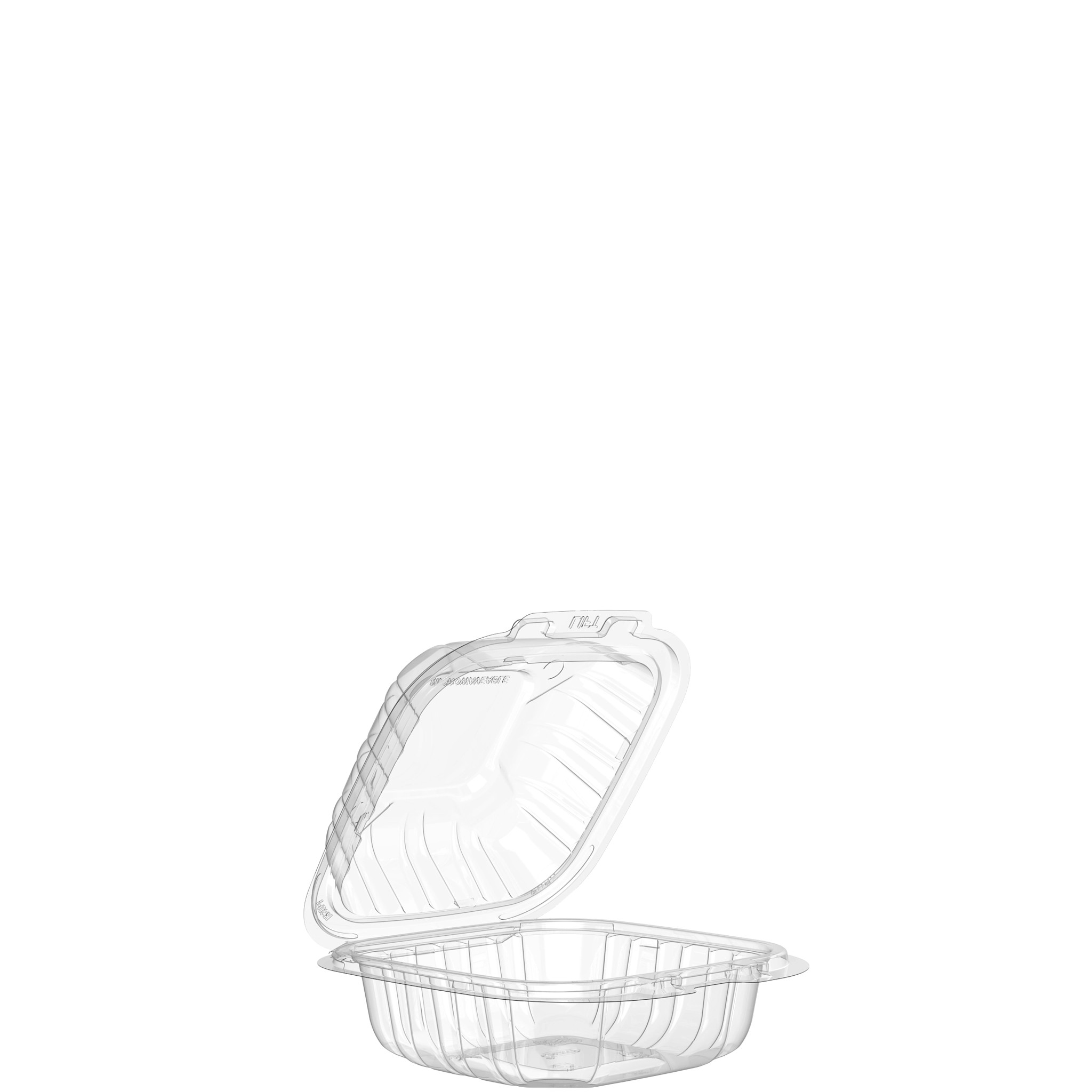 PP Sandwich Hinged Container  6 inch, Clear, Plastic