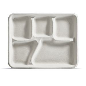 SLT5 5 Compartment tray  Natural 8.25"X10.375"x1" Pulp