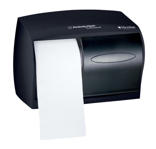 CORELESS Standard Bath Tissue Disp Smoke / Grey, Double Roll
