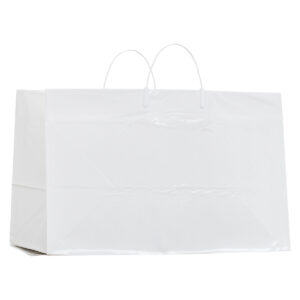 Rigid Handle Carry Out Bag Flat Bottom, Insert 19x10x12x10