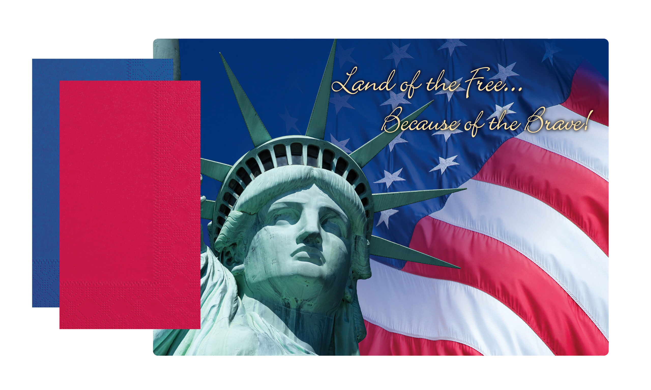 Placemat and Napkin Combo Pack Land of the Free Print