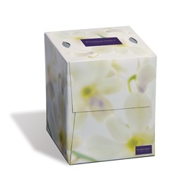 Embassy Facial Tissue Cube 2-Ply White 100 Sheets