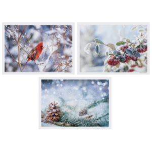 10" x 15" Winter Multipack Paper Placemats