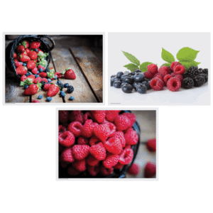Berry Delight Multipack Placemats 3 Designs 4CP 10" x 14"