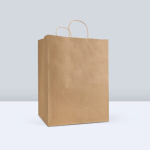 Reddi-2-Go Twist Handle Paper Bag 12" x 9" x 15.75" , Kraft , 65#