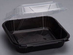ProView Medium Hinged Container Black / Clear 8" x 8" x 3"