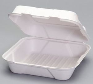 9.2"x9.1"x3.1" Hinged Container Natural White Harvest Fiber