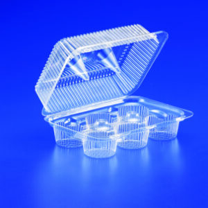 6 Compartment Cup Cake Container 9.56" x 6.94" x 4"