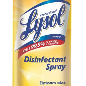 Lysol Disinfectant Spray 19 oz. Original Scent