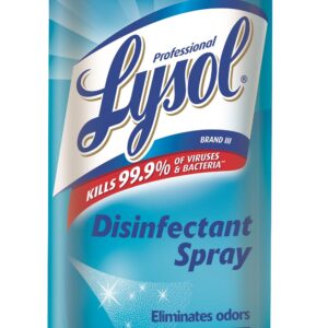 Lysol Disinfectant Spray 19 oz. Fresh Scent