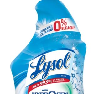 Lysol Bathroom Cleaner 22 oz. Trigger Spray Power & Free