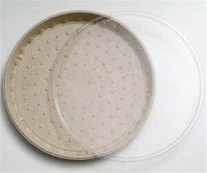 TreeSaver Low Profile Pizza Box Lid Clear 12" 1" Dome Recycled PET