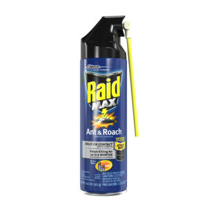 Raid Max Ant & Roach Killer 14.5 oz. Aerosol