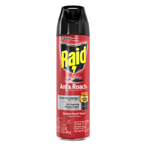 Raid Ant & Roach Killer 17.5 oz. Aerosol, Outdoor Fresh