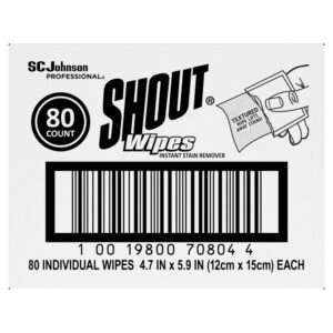 Shout Wipe & Go Stain Remover Wipes 4.7" x 5.9"