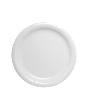 9" Medium White Plate