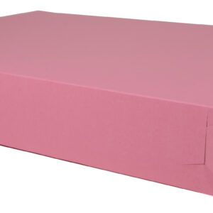 28" X 20" X 4" Sheet Cake /  Utility Tray, White, Non-Window
