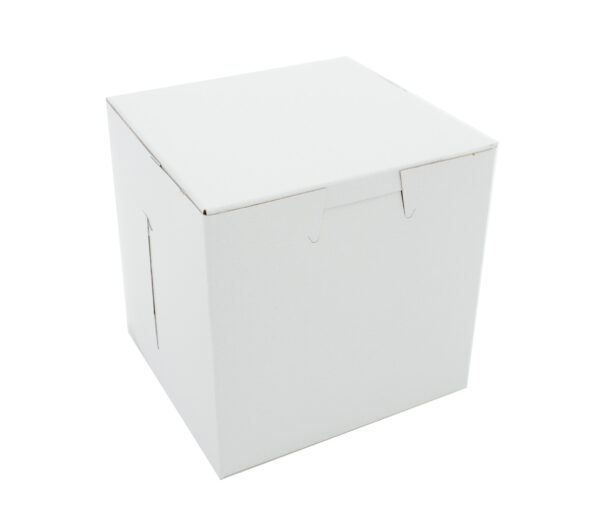 18.5" X 14.5" X 5" Sheet Cake / Utility Box, White Non-Window