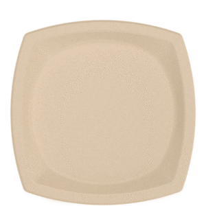 Eco-Forward Sugarcane Square Plate Ivory, 10"
