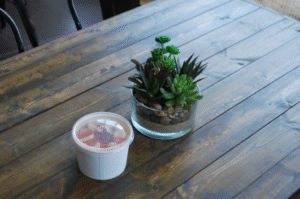 Plastic Lid for 6 oz - 16 oz Tall Hot/Cold Food Container