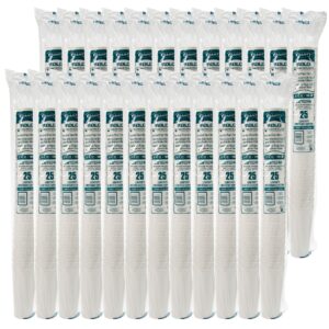 ThermoGuard Insulated Paper Hot Cup 24 oz White