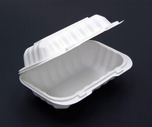 9x6x3 1-Comp Hinged Lid Container MFPP Mineral Filled Polypropylene