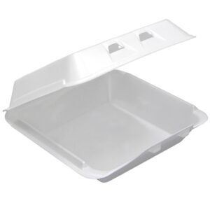 9.5x10.5x3.25 1Cpt Foam Hinged