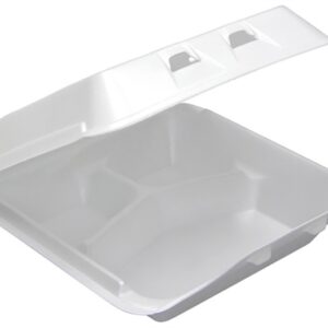 9.5x10.5x3 3Compartment Foam Hinged Container