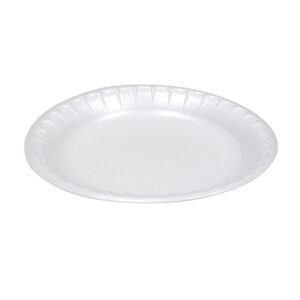 9" White Foam Dinner Plate Laminated
