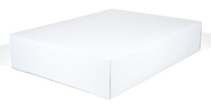 22" X 16.75" X 4.5" Sheet Cake / Utility Box, 2 Piece