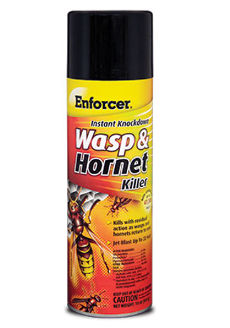 Enforcer Wasp & Hornet Killer Instant Knockdown 16 oz Aerosol